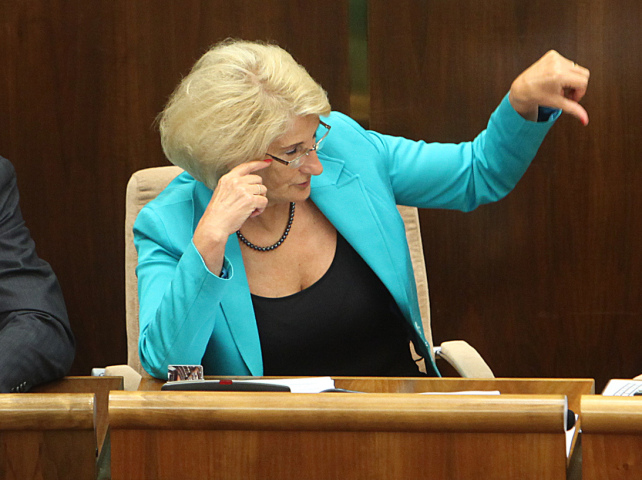 Jana Laššáková, parlament