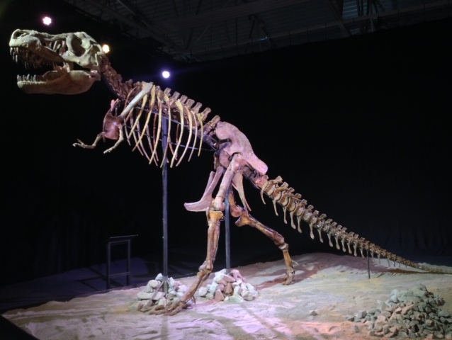Dinosaurium, Incheba, výstava, dinosauri, dinosauru
