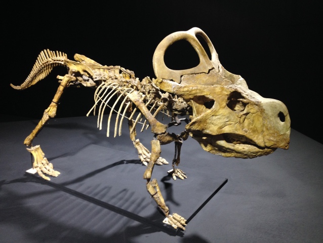 Dinosaurium, Incheba, výstava, dinosauri, dinosaurus