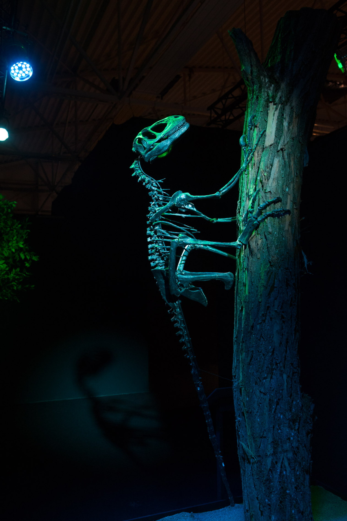 Dinosaurium, Incheba, výstava, dinosauri, dinosaurus,