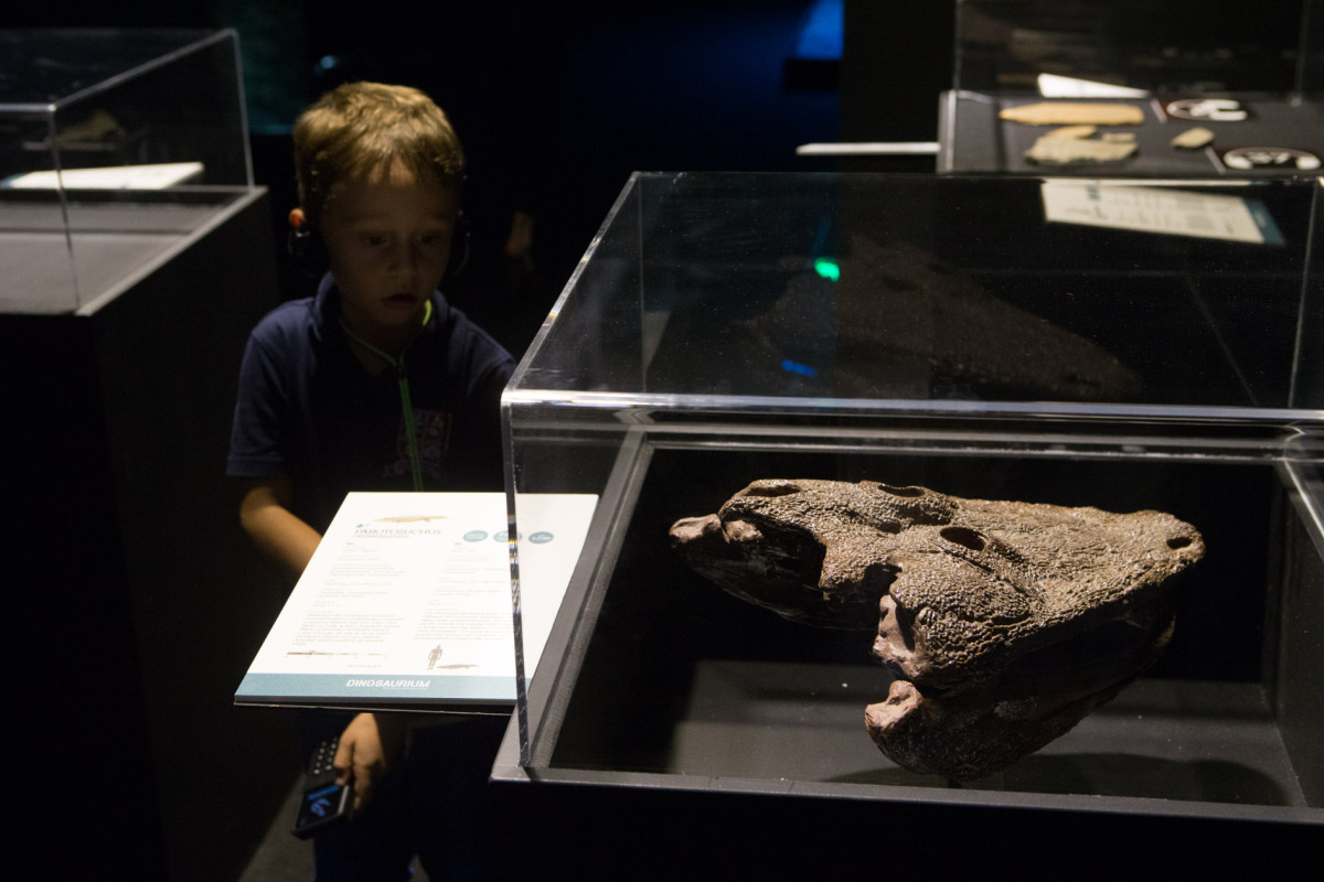 Dinosaurium, Incheba, výstava, dinosauri, dinosaurus