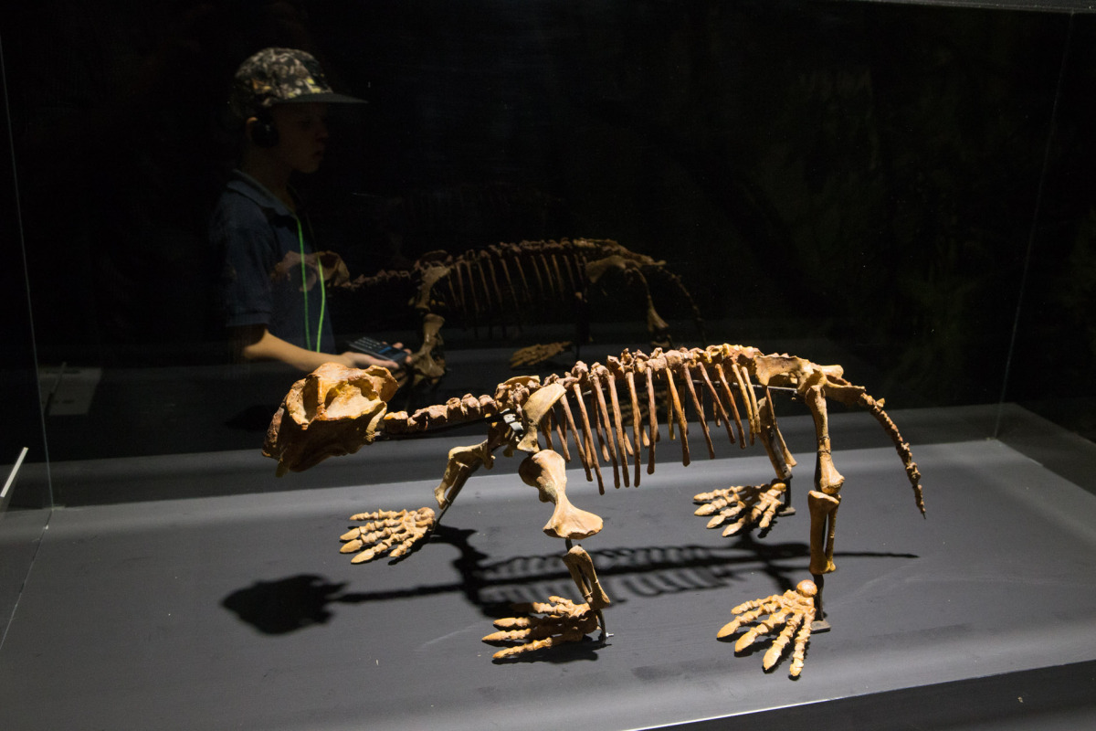 Dinosaurium, Incheba, výstava, dinosauri, dinosaurus,