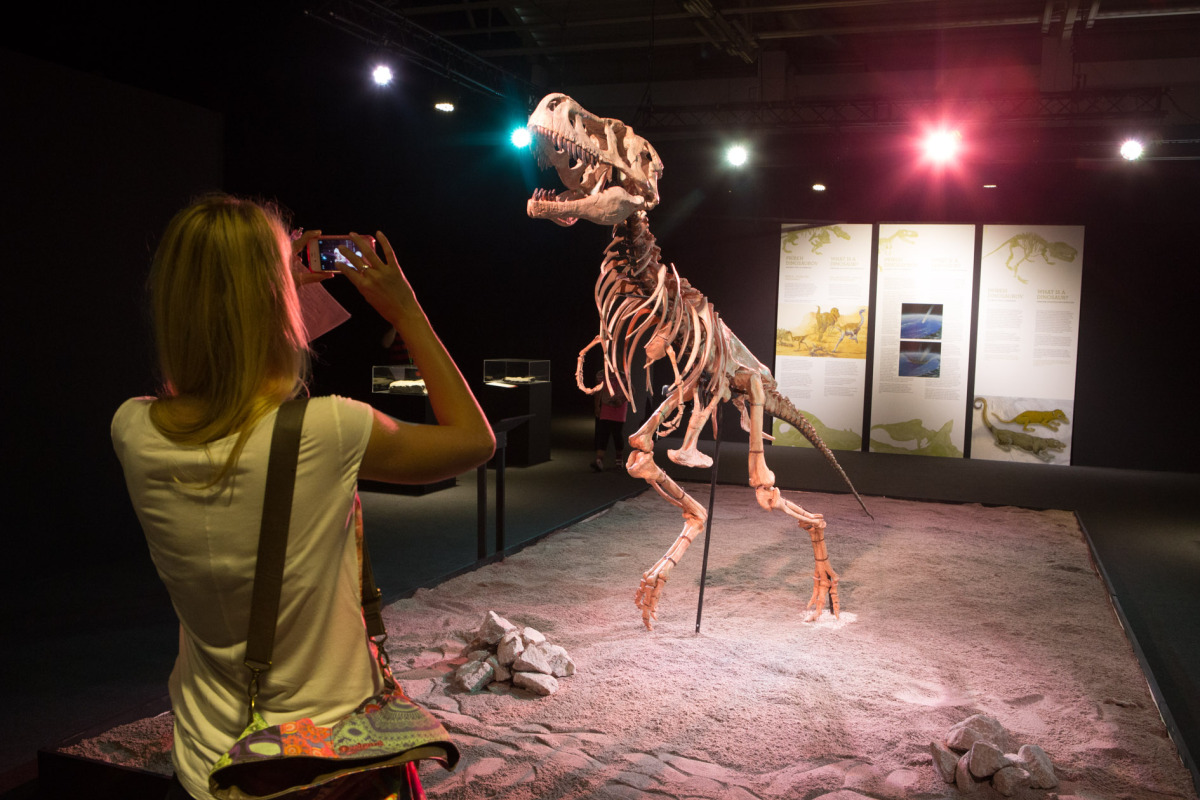 Dinosaurium, Incheba, výstava, dinosauri, dinosaurus