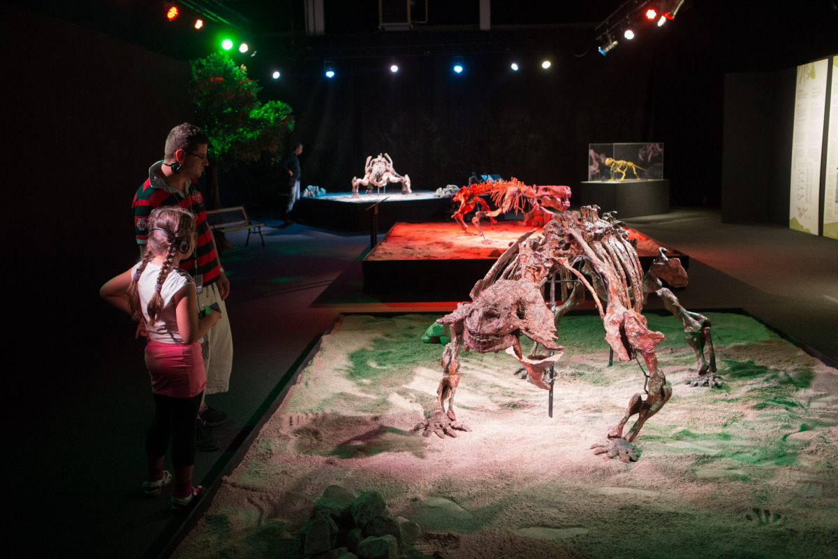 Dinosaurium, Incheba, výstava, dinosauri, dinosaurus