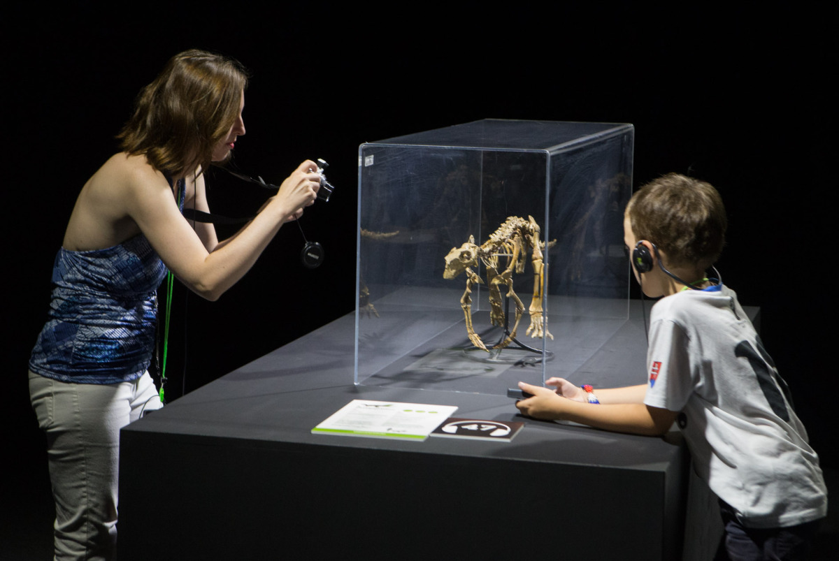výstava, dinosaury, incheba, Dinosaurium
