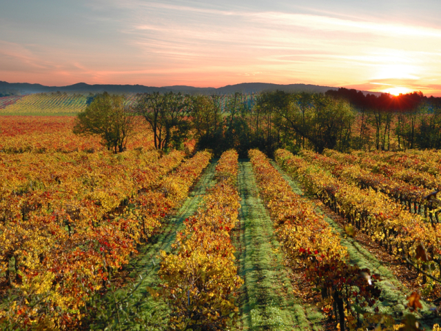 sonoma, Kalifornia