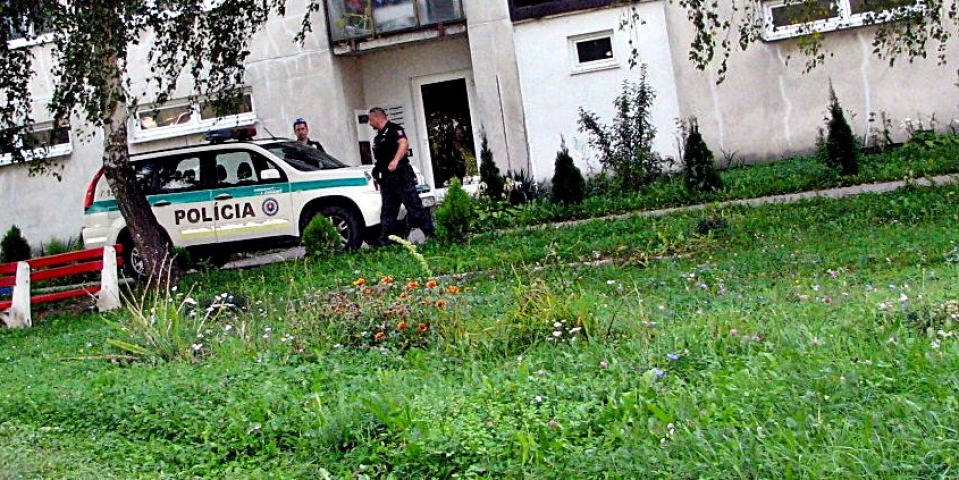 polícia, vestenice
