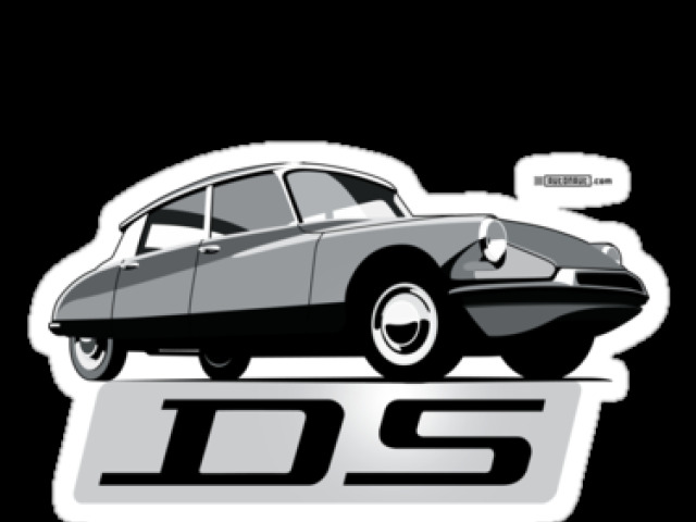 DS - logo