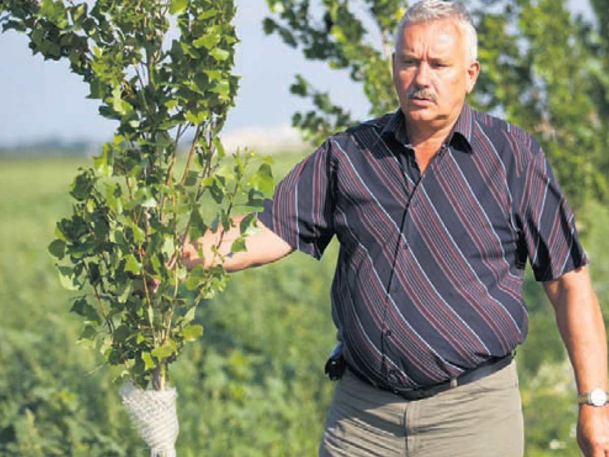 Marian Halmeš