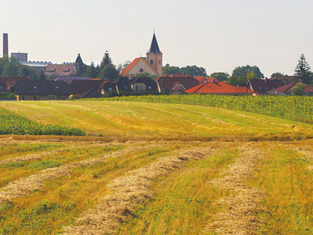 pole, vidiek, dedina