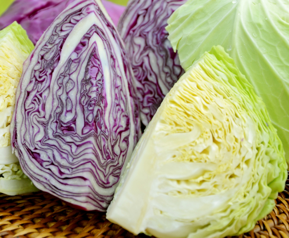 kapusta