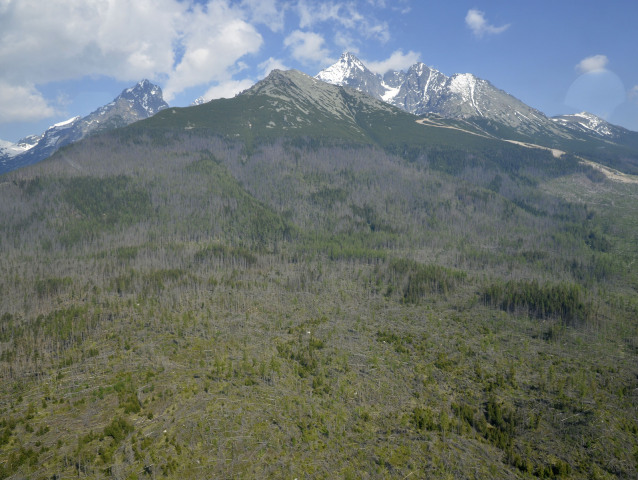 VYSOKÉ TATRY: Následky kalamity