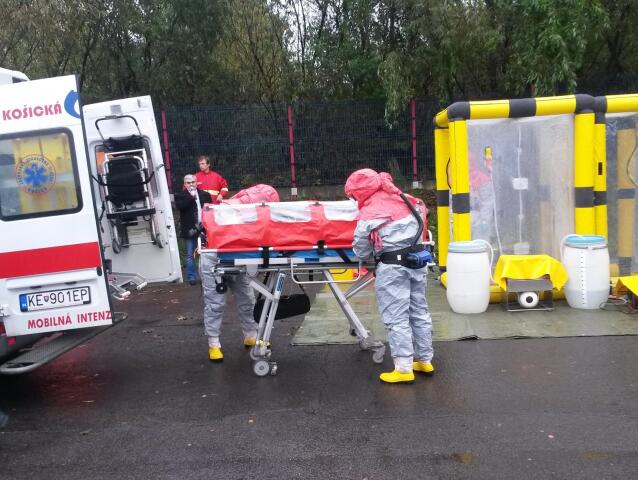 ebola, zdravtoníci, epidémia