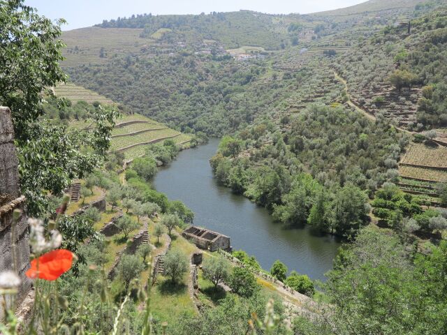 rieka, Duoro, Porto,