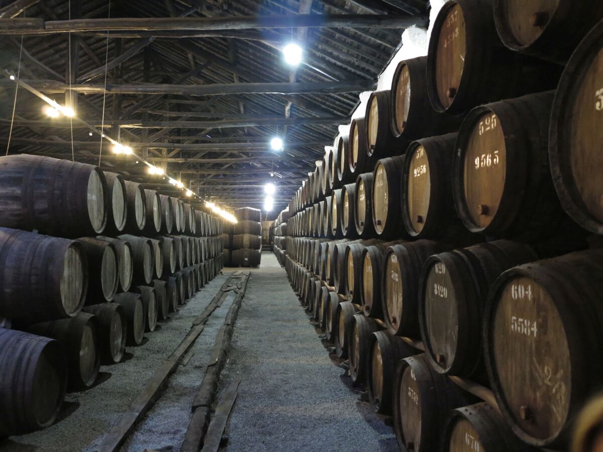 Portske, vino,