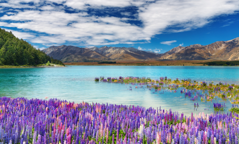 Nový Zéland, Tekapo, jazero, hory, pleso