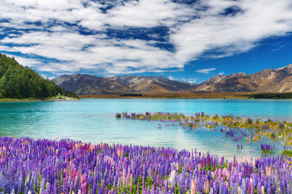 Nový Zéland, Tekapo, jazero, hory, pleso