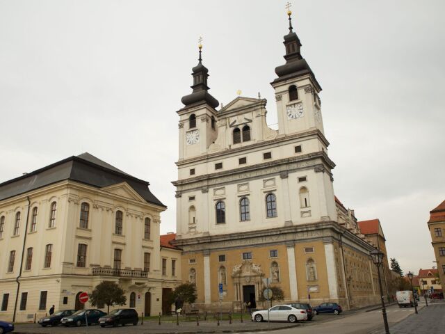 Trnava, katedrala sv. jana krstitela