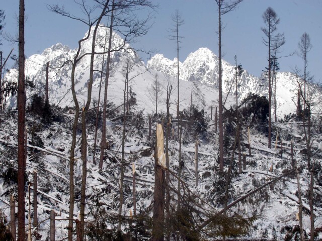 kalamita,Tatry,Lomnica