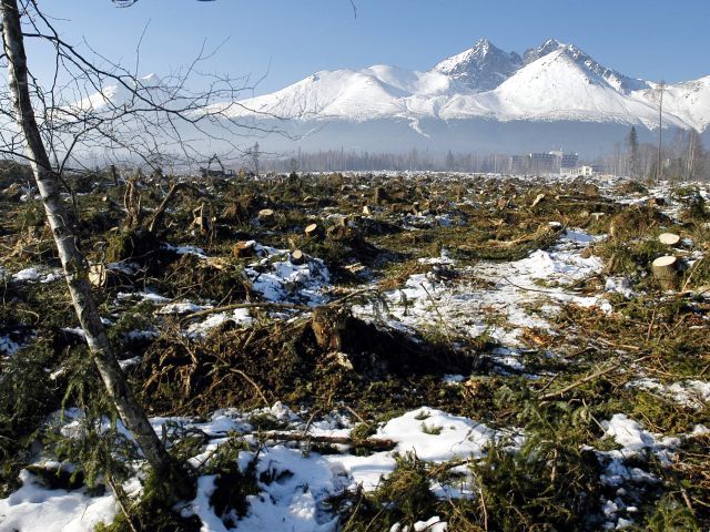 Tatry, kalamita