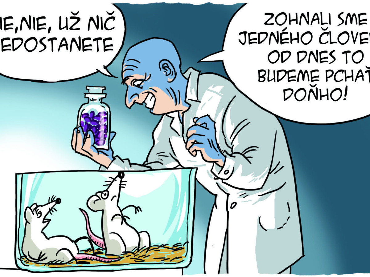 Danglár, 22.11.2014