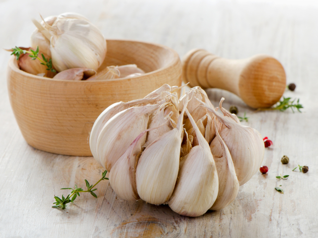 cesnak, antioxidant, antibiotikum
