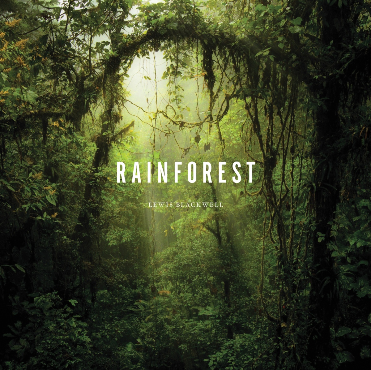 Coffee Table Books - Rainforest