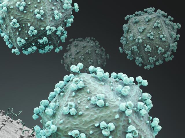 vírus, HIV, AIDS