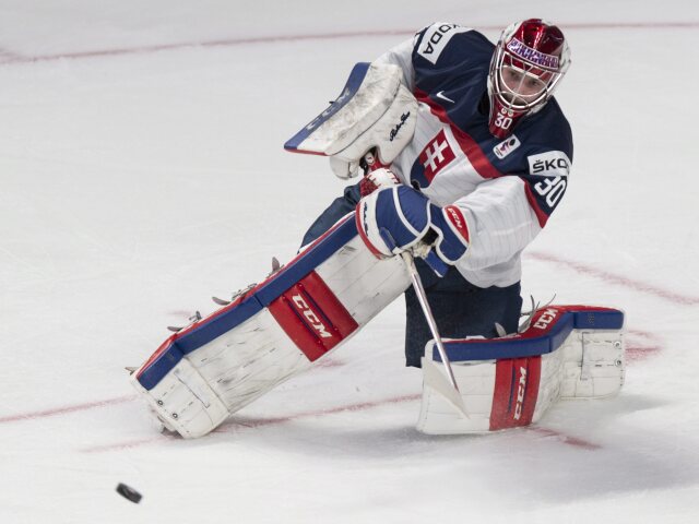 denis godla, repre, slovensko, hokej