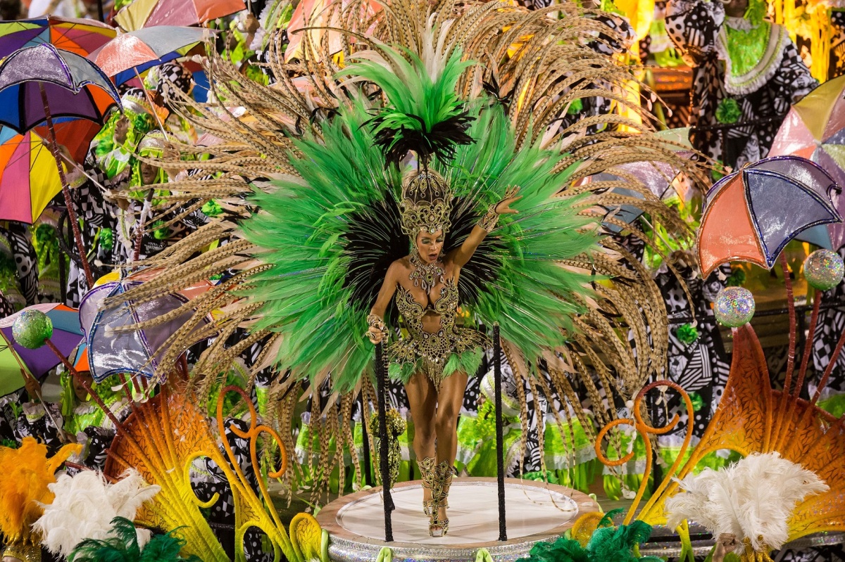 bubo brazilia inzercia