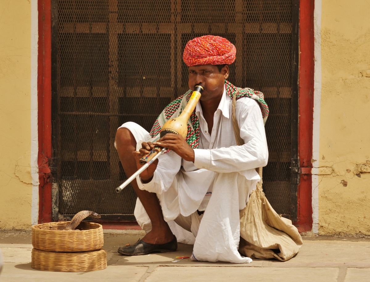 bubo_india_inzercia