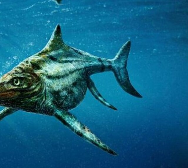 ichtyosaurus, ryba, lochnesská prášera