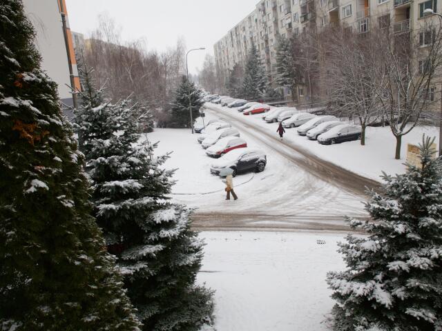 ihličnany, zima, sneh, parkovisko, nitra, prostredie,