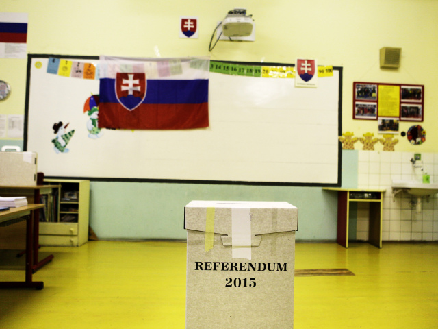 referendum, urna