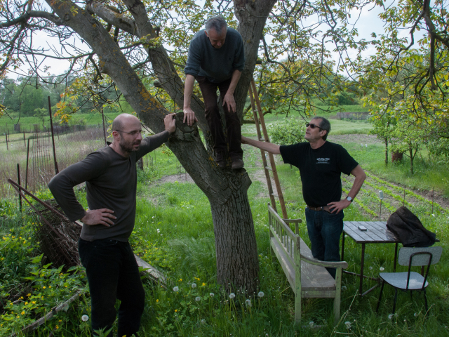 Pavol Andraško (vľavo), režisér Juraj Nvota (na strome) a spoluscenárista a producent Marian Urban pri nakrúcaní Rukojemníka.