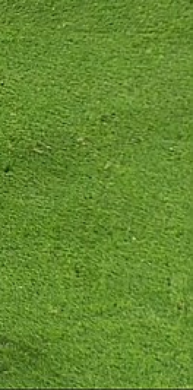 David Luiz