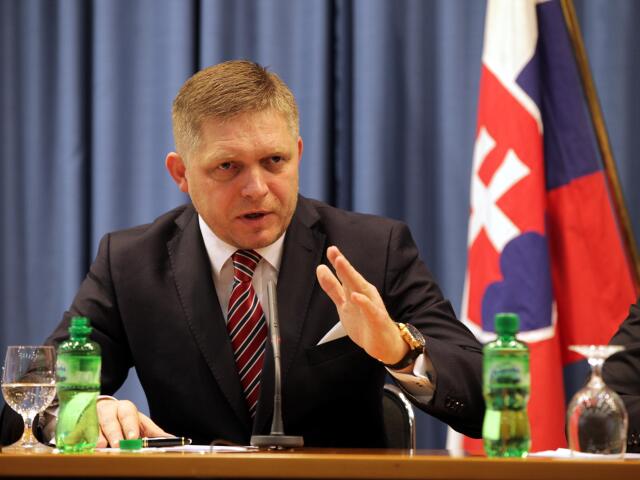 vlada, Fico,