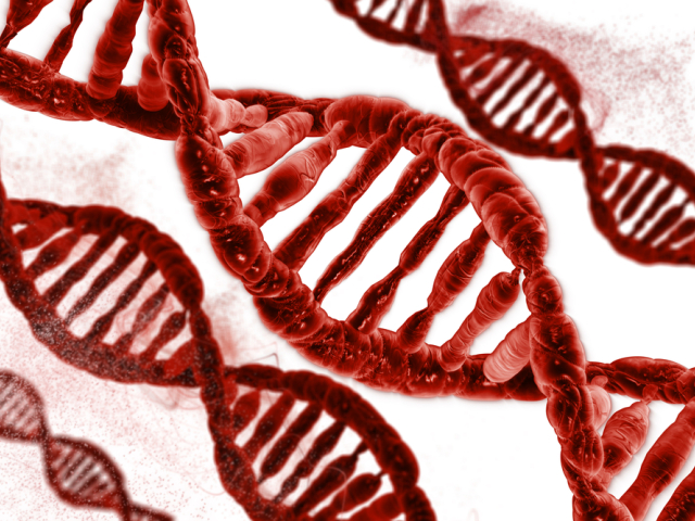 DNA, profil, človek, bunka, genetika