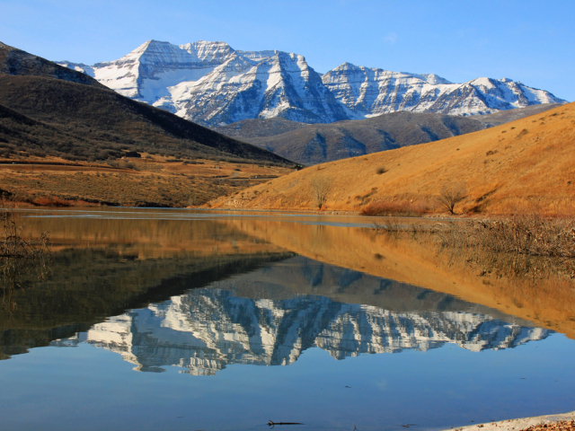 Timpanogos