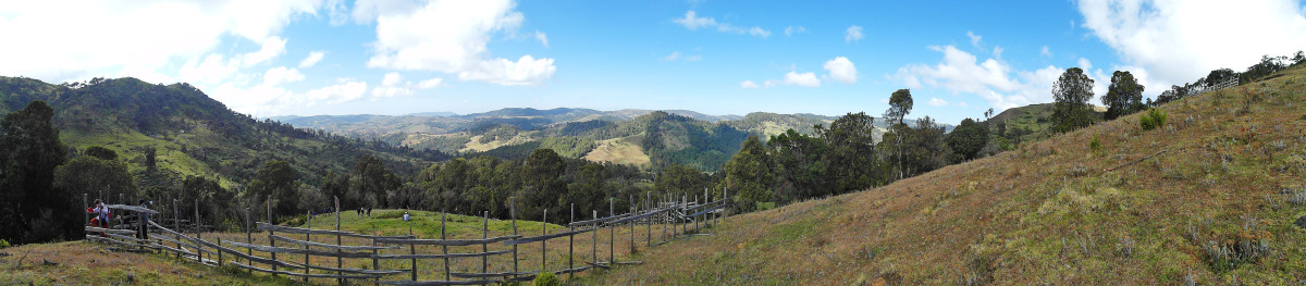 sengweri panoramka 2