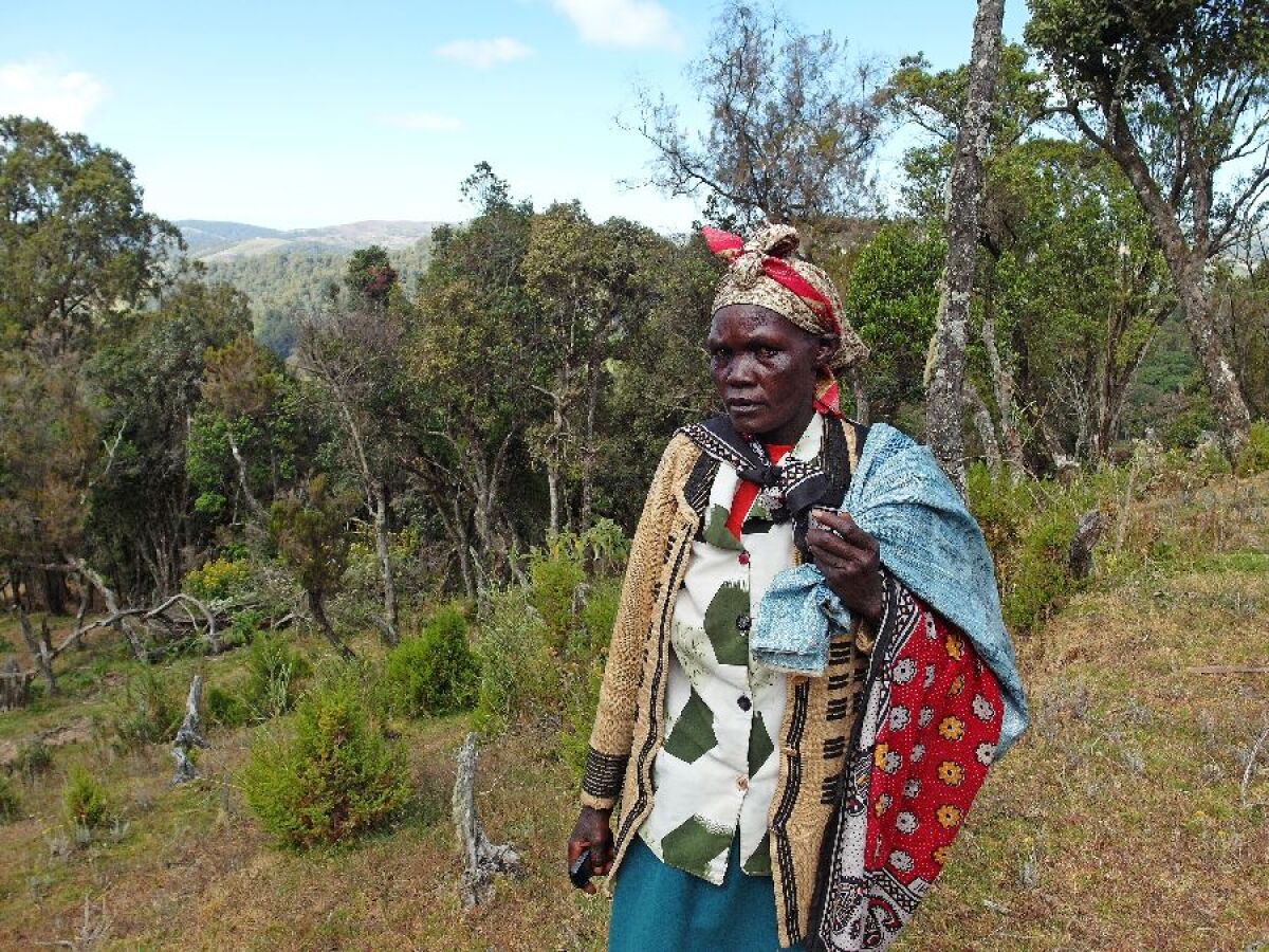 sengweri16