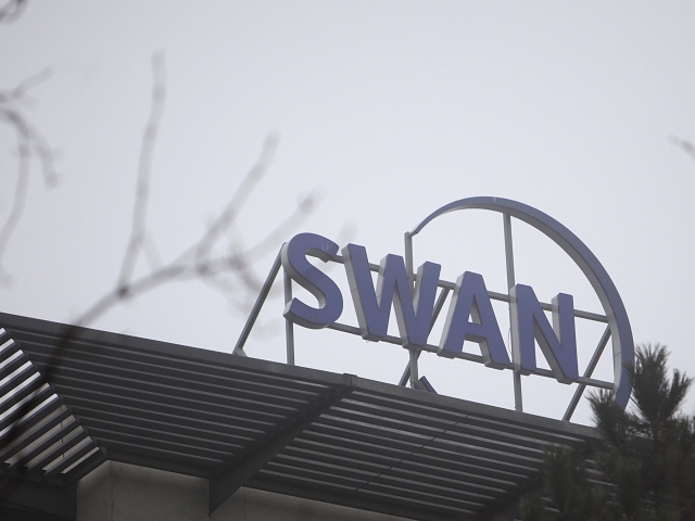 Swan