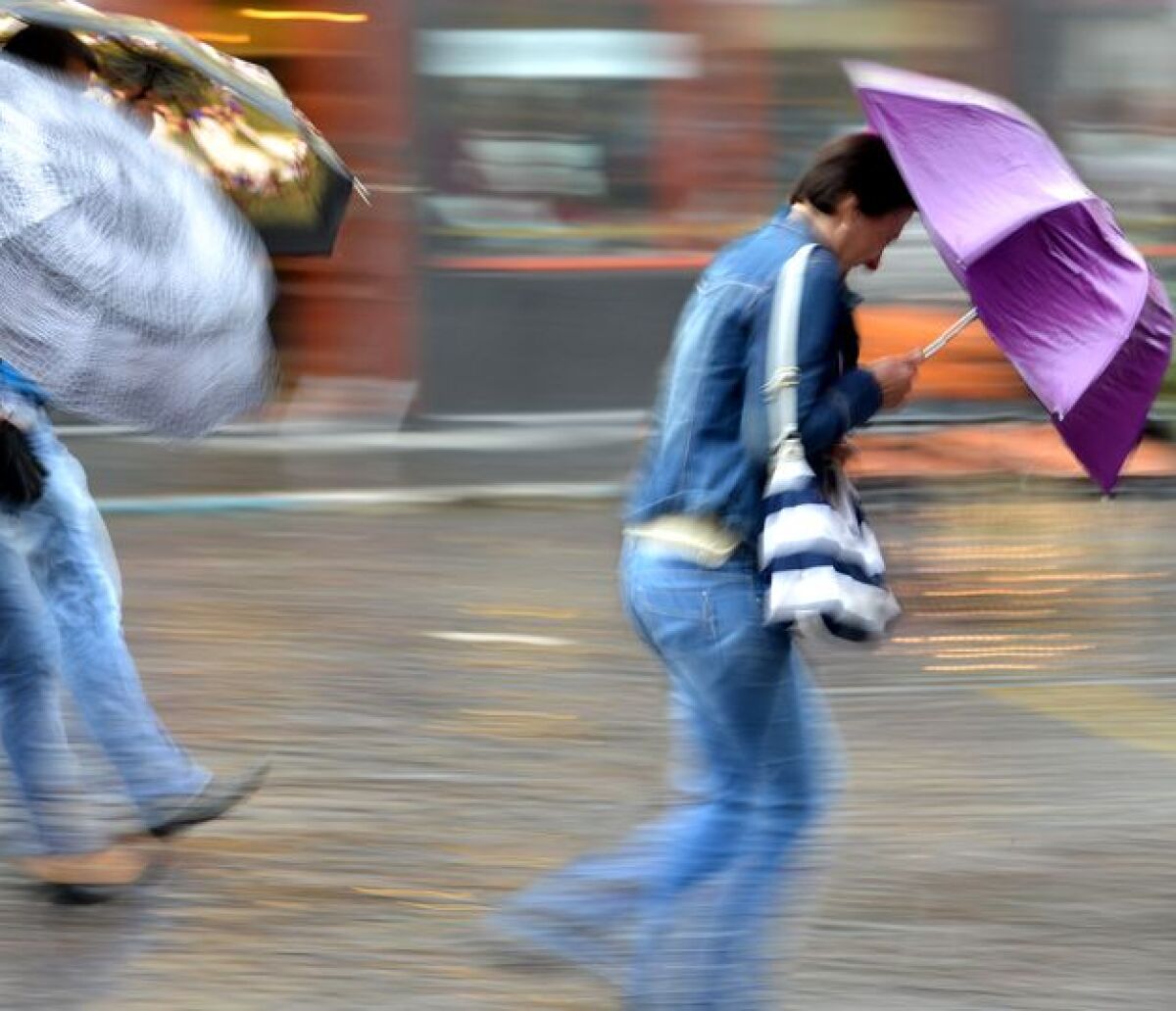 vietor, víchor, počasie, dážď, prší, búrka,