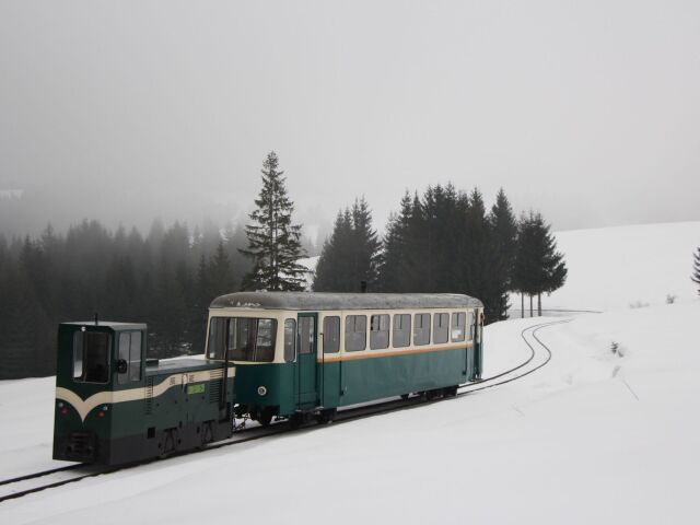 orava, lesná železnica
