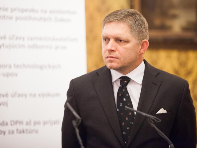 vlada, fico,