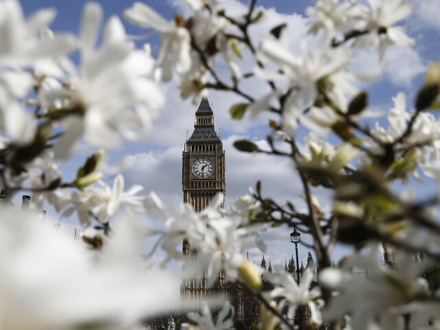 Londýn, Big Ben, kvety