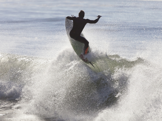 santa cruz