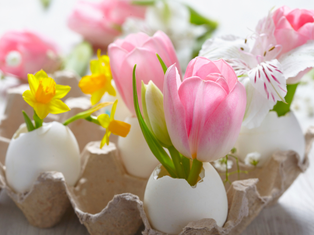 Veľká noc - kvetinová dekorácia - kvetiny jari - tulipán