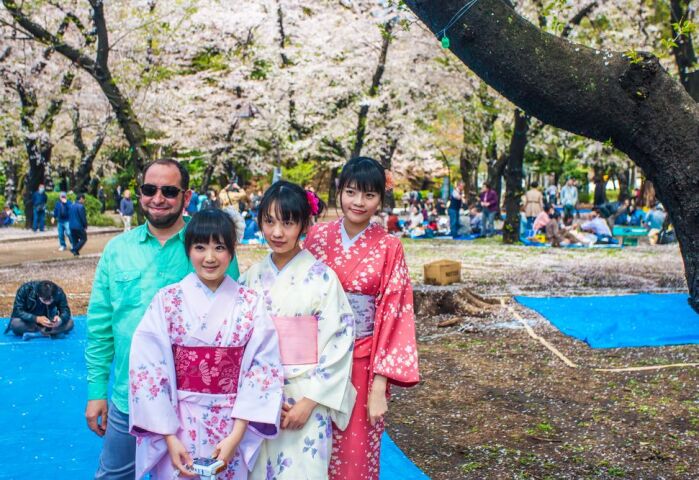 Čerešňové kvety, sakura, festival čerešňových kvetov, kvitnúce stromy,
