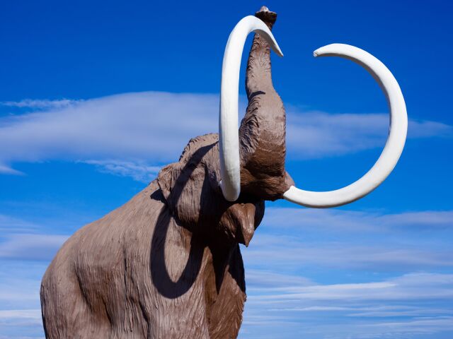 mamut, mamut dlhosrstý, genóm,